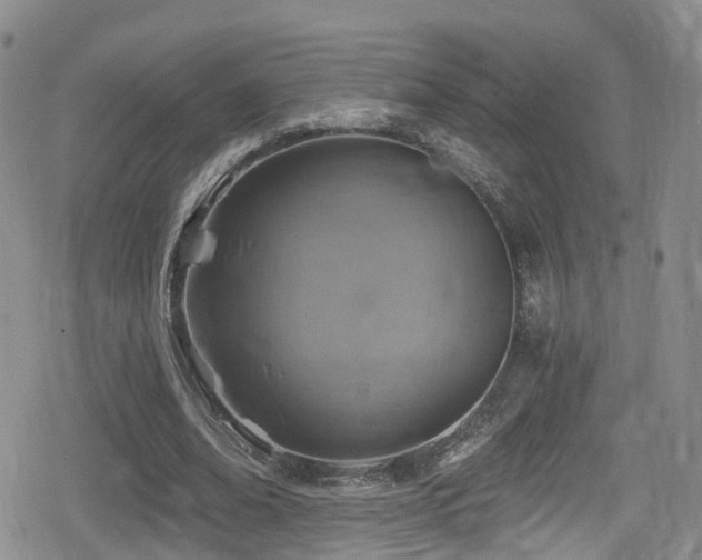 X0000080200678200612081428