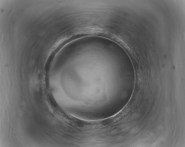 X0000080200679200612081428