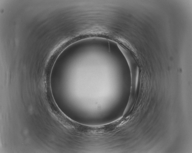 X0000080200680200612081428