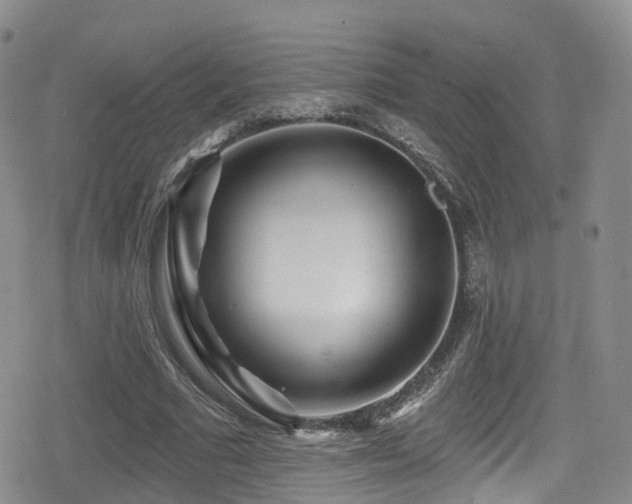 X0000080200681200612081428