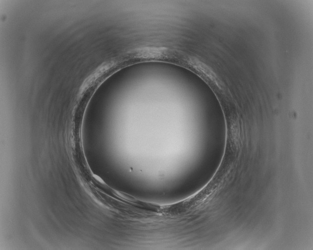 X0000080200682200612081428