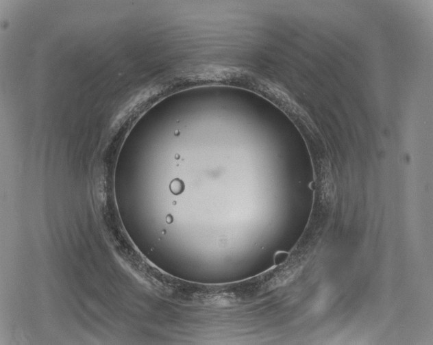 X0000080200683200612081428