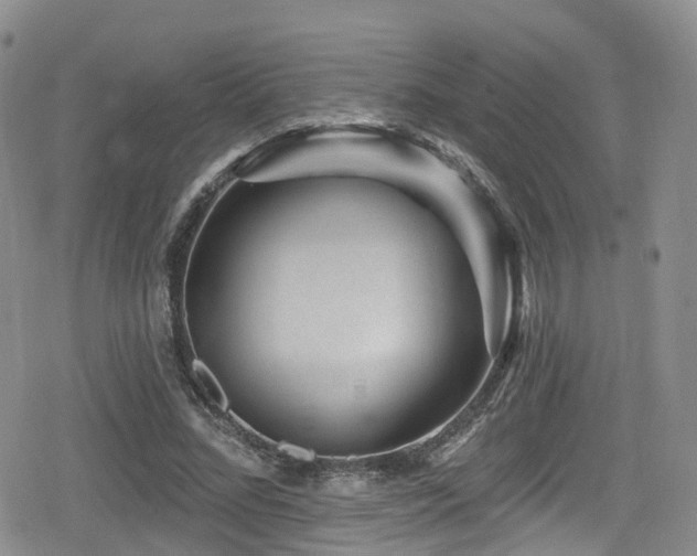 X0000080200684200612081428