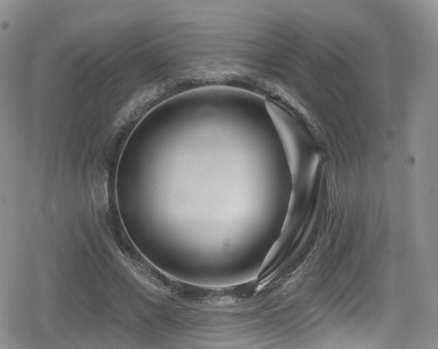 X0000080200685200612081428