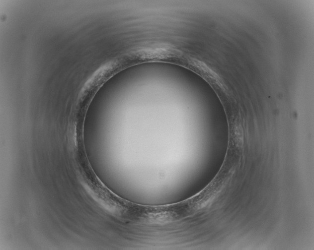 X0000080200686200612081428