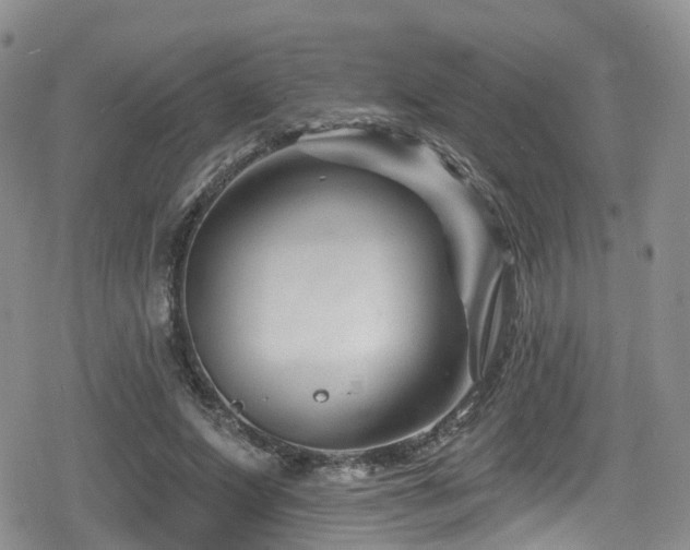 X0000080200687200612081428