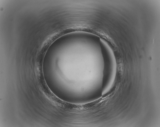 X0000080200688200612081428