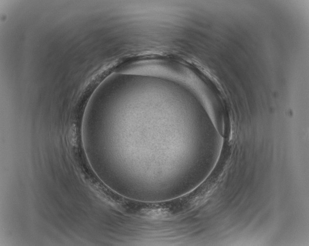 X0000080200689200612081428