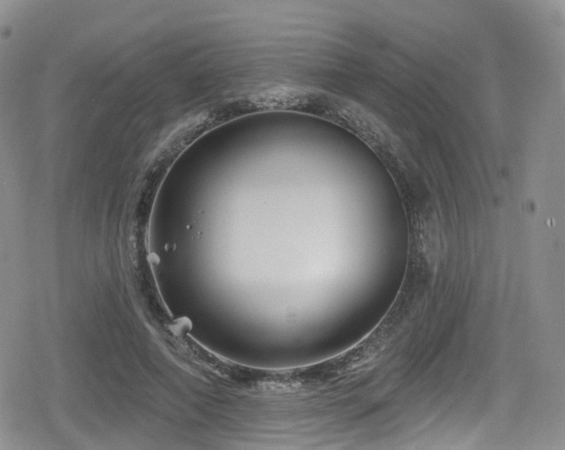 X0000080200690200612081428