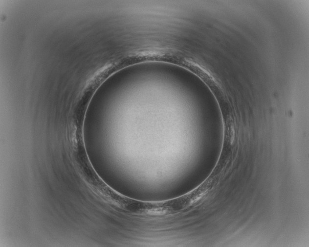 X0000080200692200612081428