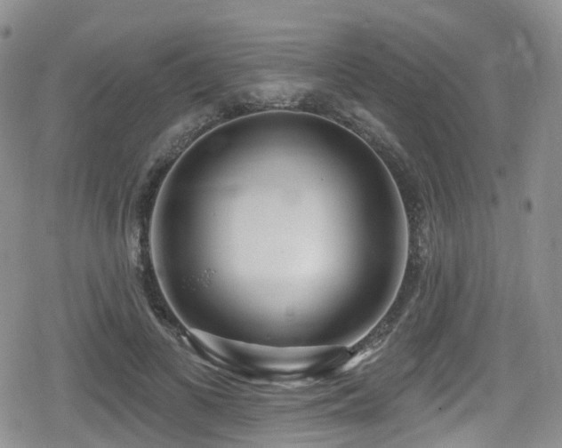 X0000080200693200612081428