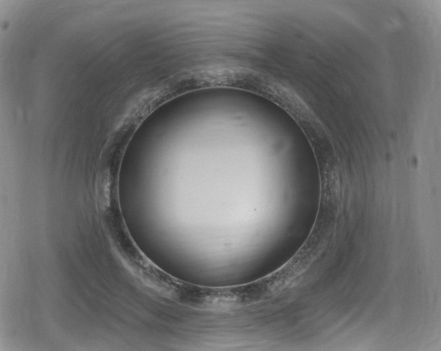 X0000080200694200612081428