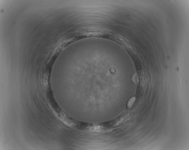 X0000080200695200612081428