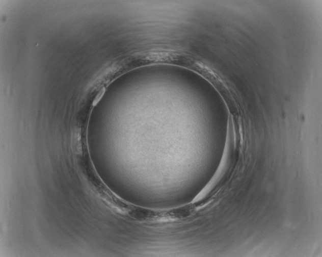 X0000080200696200612081428