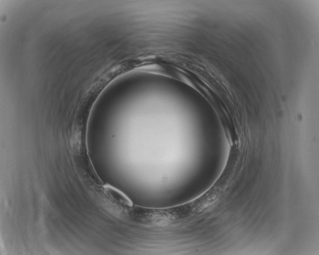 X0000080200697200612081428