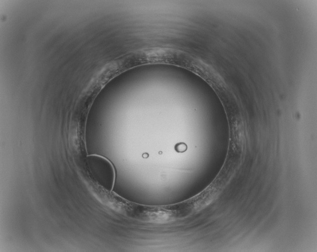 X0000080200698200612081428