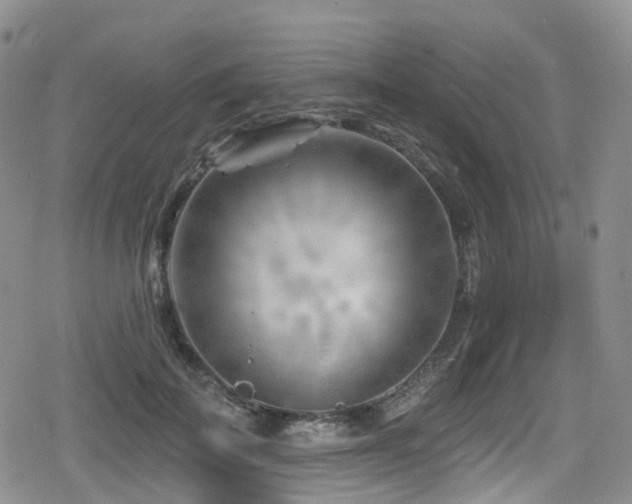 X0000080200699200612081427