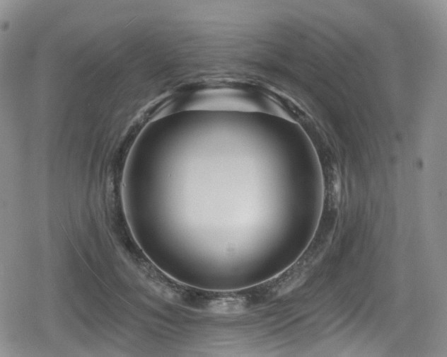 X0000080200700200612081427