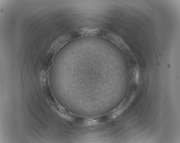 X0000080200701200612081427