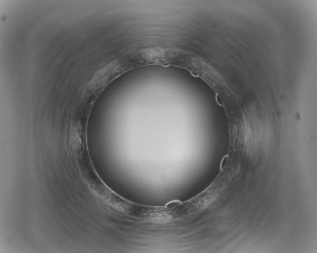 X0000080200702200612081427