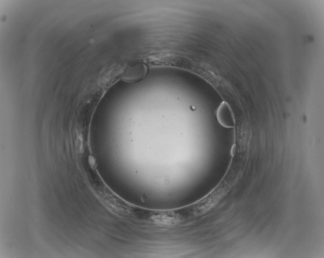 X0000080200703200612081427