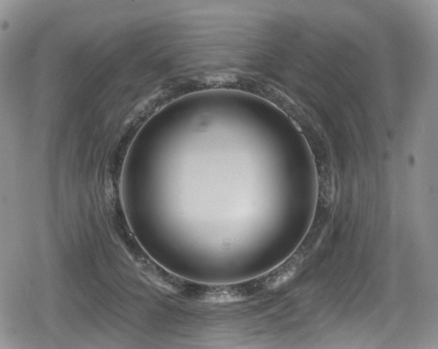 X0000080200704200612081427