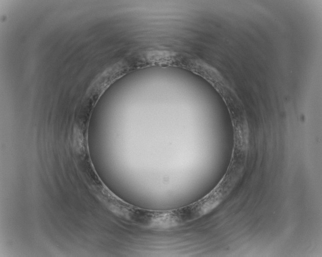 X0000080200705200612081427