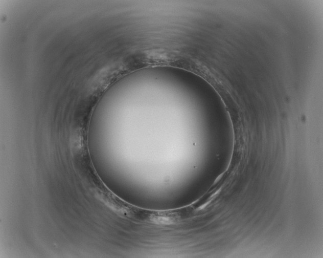 X0000080200706200612081427