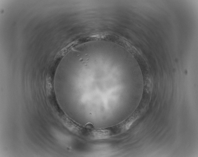 X0000080200707200612081427