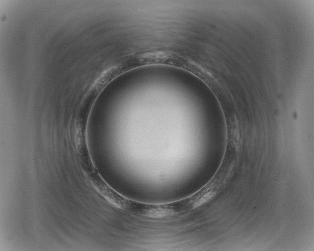 X0000080200708200612081427