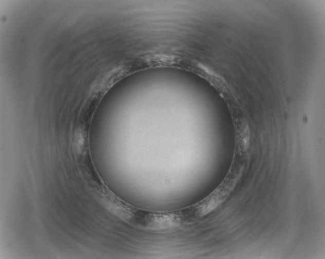 X0000080200709200612081427