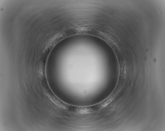 X0000080200710200612081427