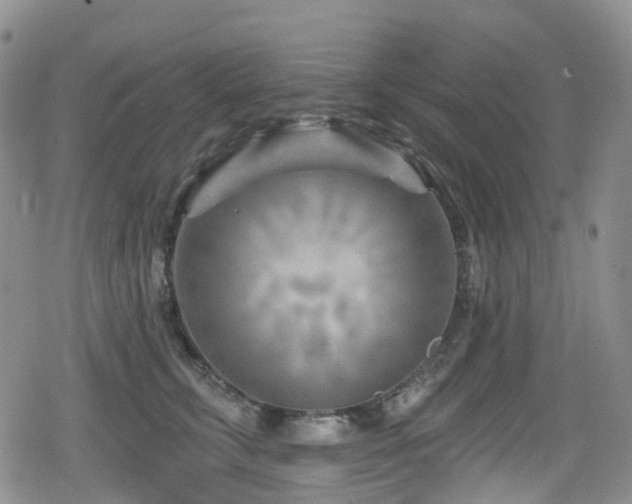 X0000080200711200612081427