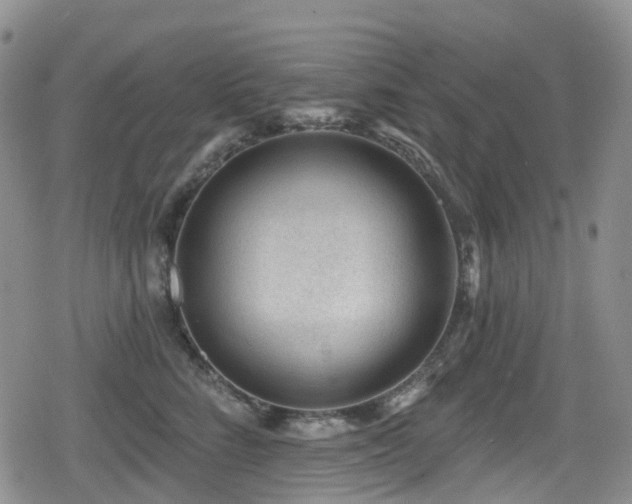 X0000080200712200612081427