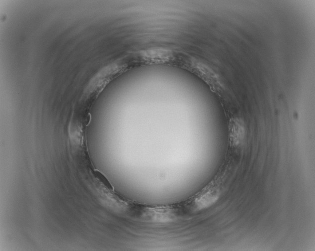 X0000080200713200612081427