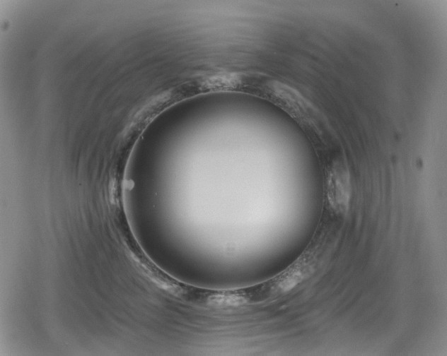 X0000080200714200612081427