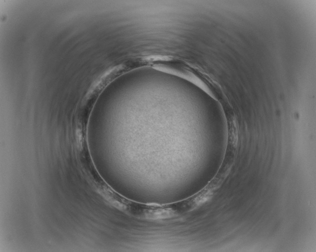 X0000080200716200612081427