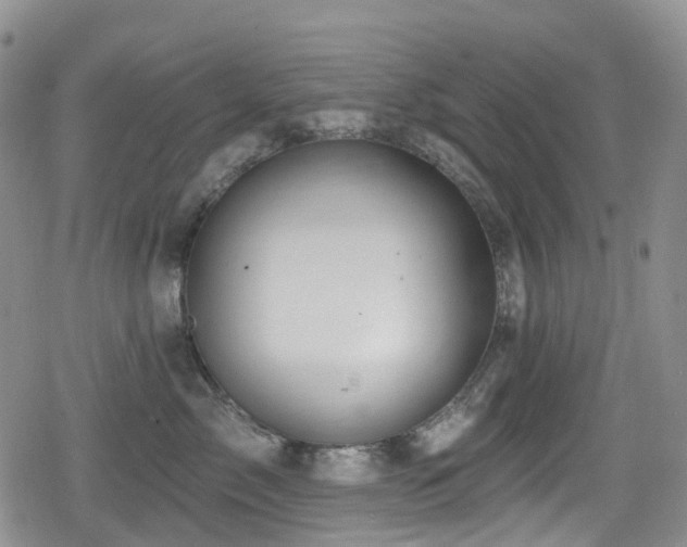 X0000080200717200612081427