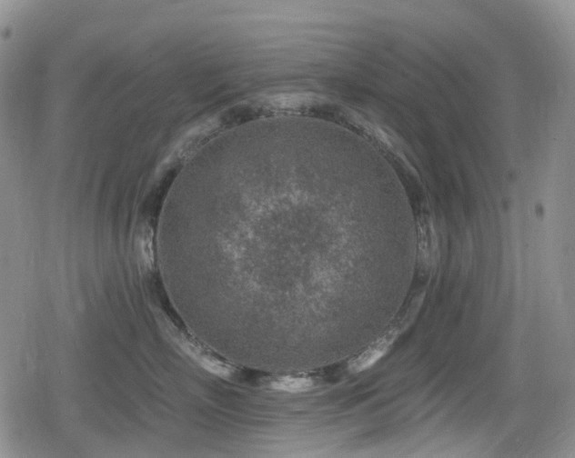 X0000080200718200612081427