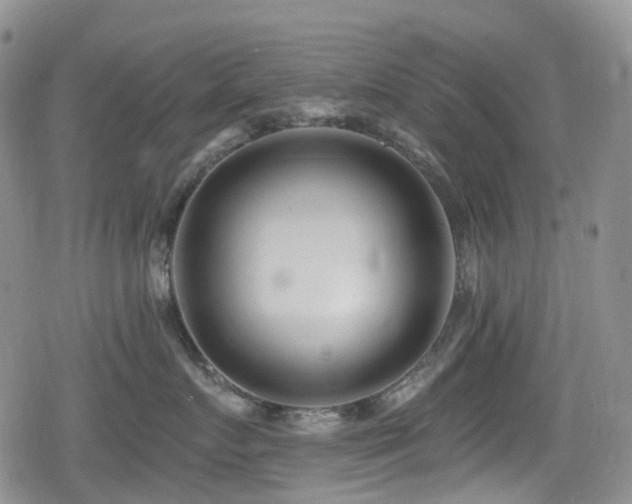 X0000080200719200612081427