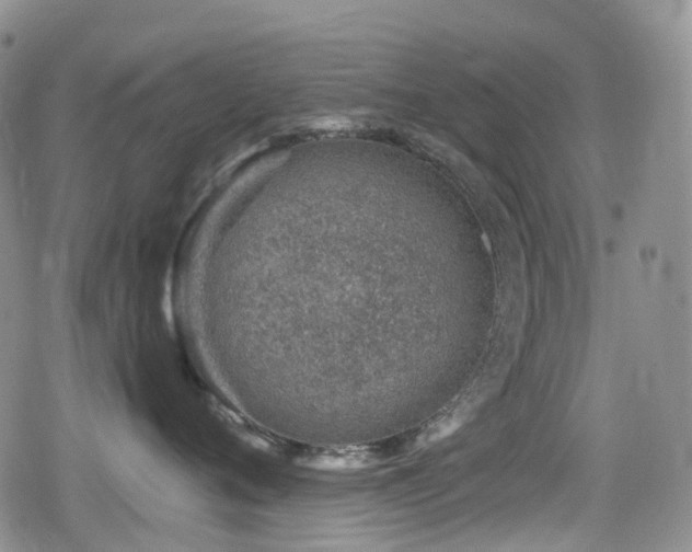 X0000080200720200612081427