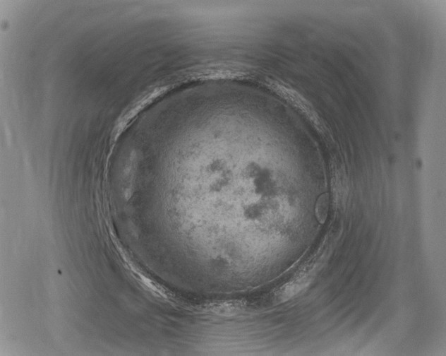 X0000080200721200612081426