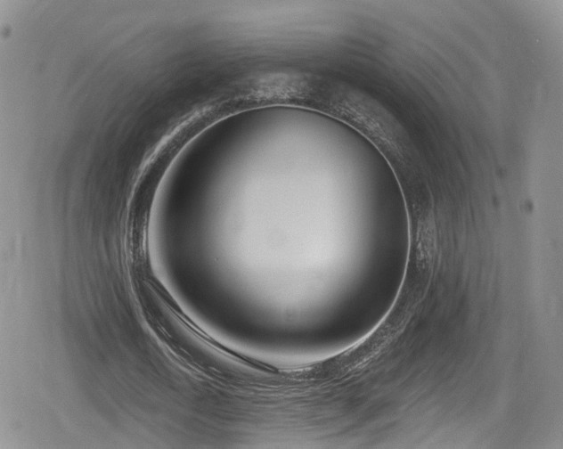 X0000080200722200612081426