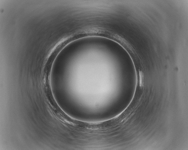 X0000080200723200612081426