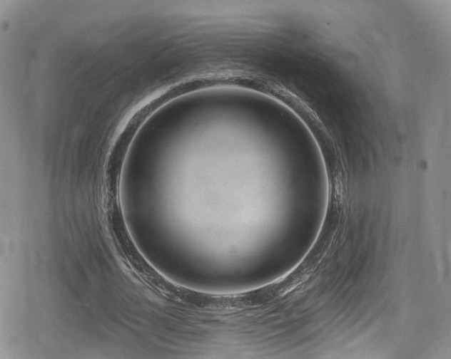 X0000080200724200612081426