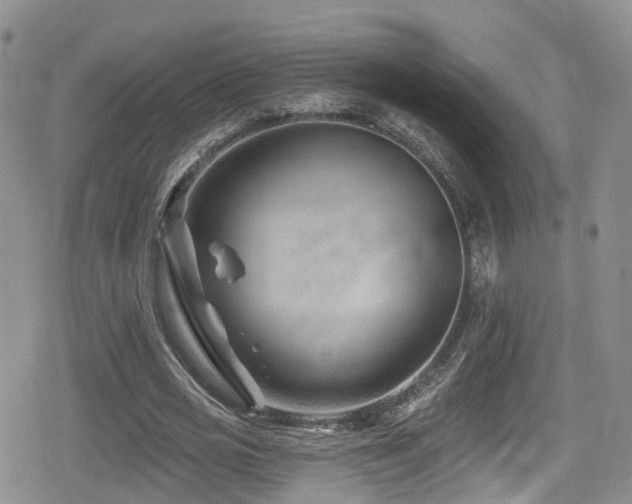 X0000080200725200612081426