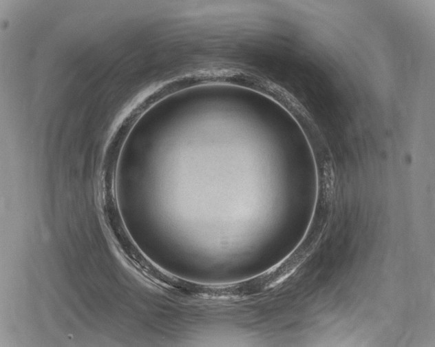 X0000080200726200612081426