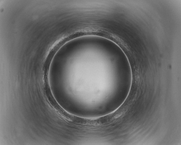 X0000080200727200612081426