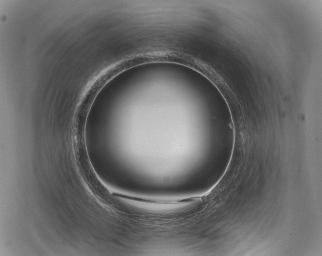 X0000080200728200612081426