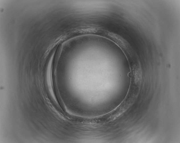 X0000080200729200612081426